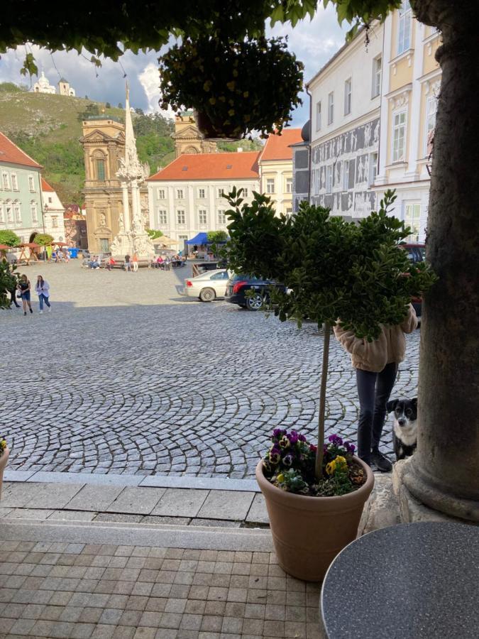 Guesthouse Mikulas Mikulov - Free Parking In The City Center Exterior foto