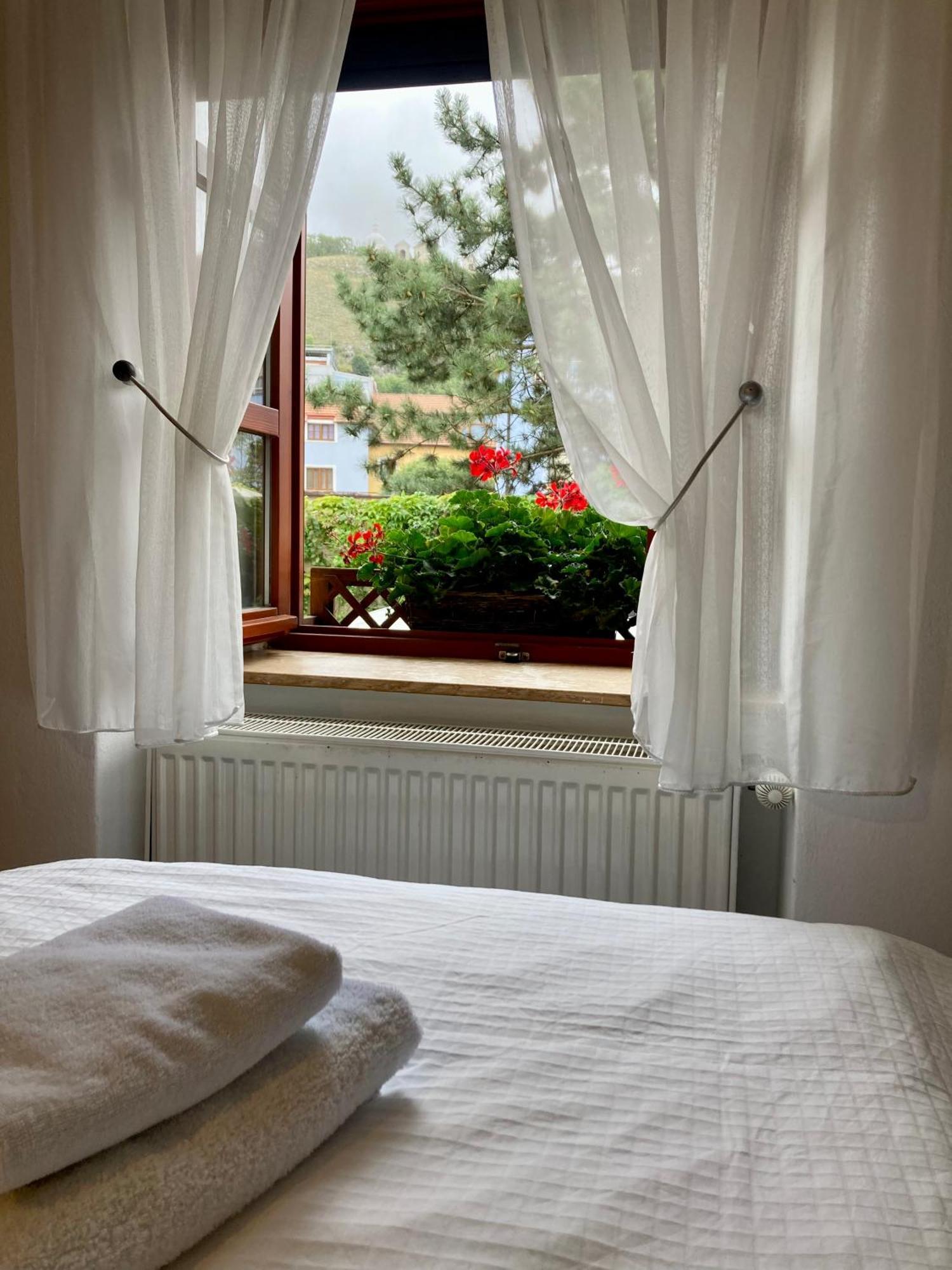 Guesthouse Mikulas Mikulov - Free Parking In The City Center Exterior foto